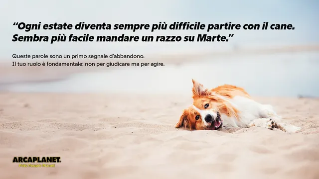 Segnali d'abbandono | Arcaplanet