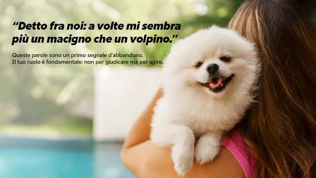 Segnali d'abbandono | Arcaplanet