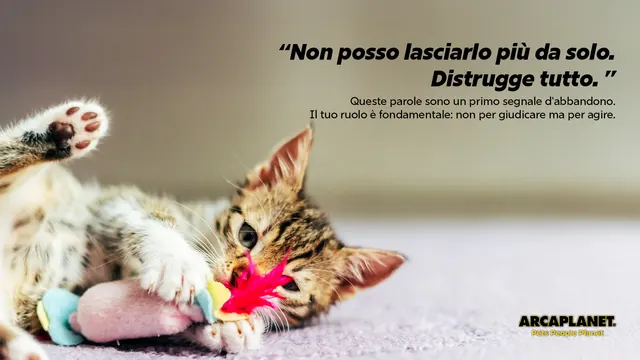 Segnali d'abbandono | Arcaplanet