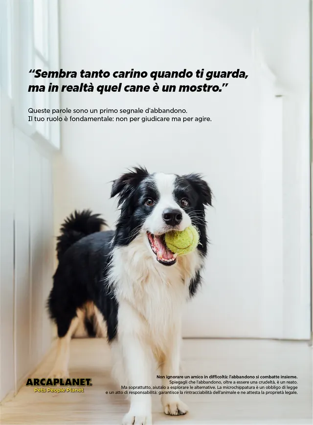 Segnali d'abbandono | Arcaplanet