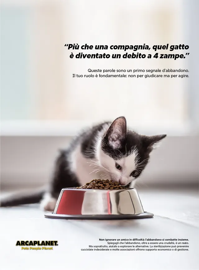 Segnali d'abbandono | Arcaplanet