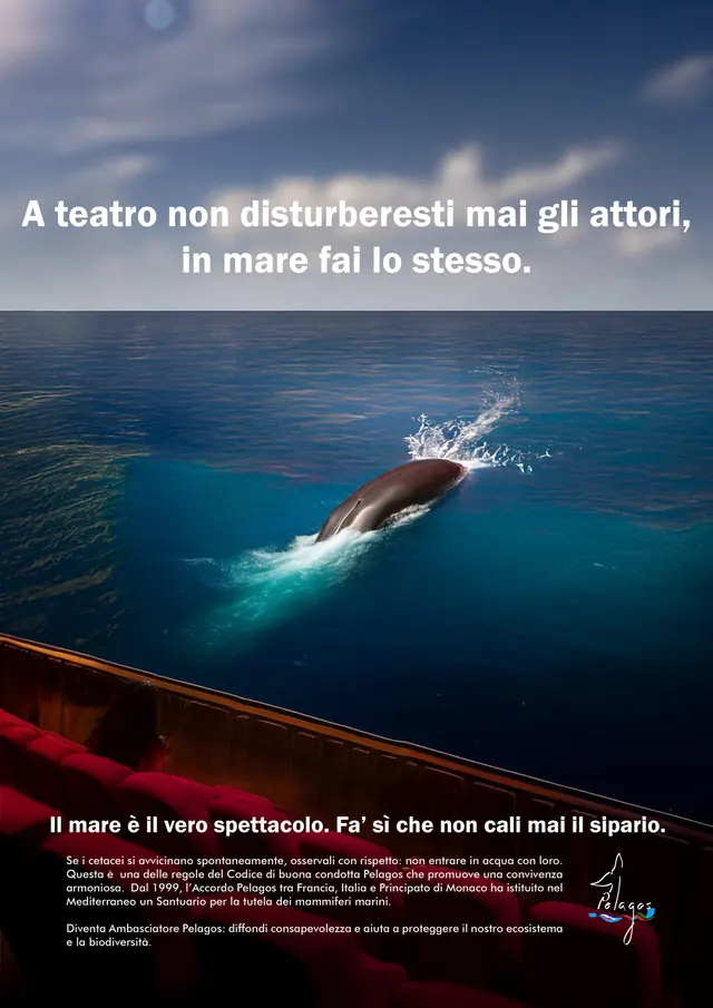 In mare come a teatro | Pelagos