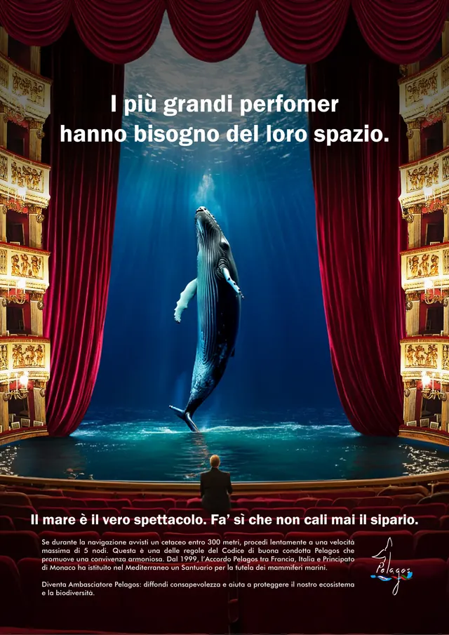 In mare come a teatro | Pelagos