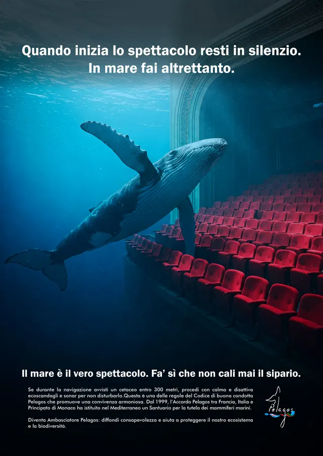 In mare come a teatro | Pelagos